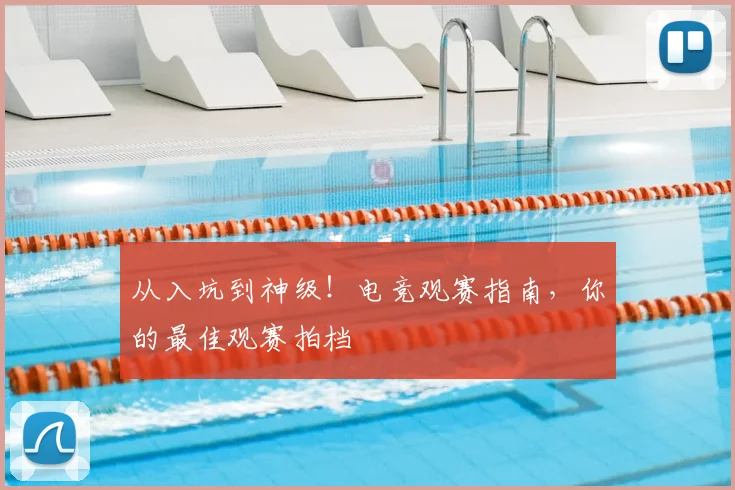 从入坑到神级！电竞观赛指南，你的最佳观赛拍档