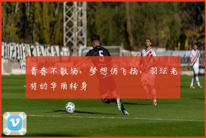 青春不散场,梦想仍飞扬,羽坛老将的华丽转身