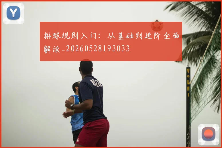 排球规则入门：从基础到进阶全面解读_20260528193033