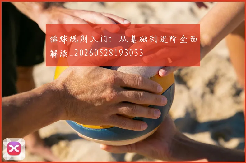 排球规则入门：从基础到进阶全面解读_20260528193033