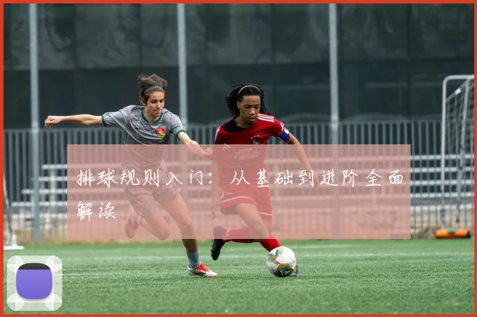 排球规则入门：从基础到进阶全面解读