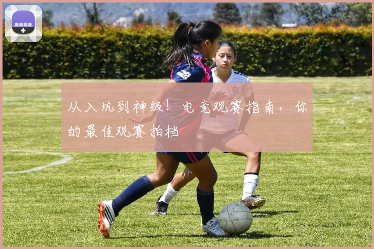 从入坑到神级！电竞观赛指南，你的最佳观赛拍档