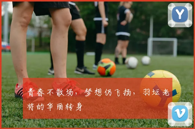 青春不散场,梦想仍飞扬,羽坛老将的华丽转身